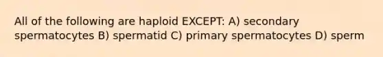 All of the following are haploid EXCEPT: A) secondary spermatocytes B) spermatid C) primary spermatocytes D) sperm