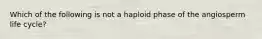 Which of the following is not a haploid phase of the angiosperm life cycle?