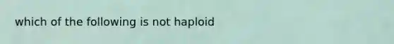 which of the following is not haploid