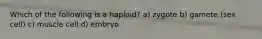 Which of the following is a haploid? a) zygote b) gamete (sex cell) c) muscle cell d) embryo