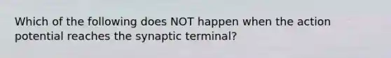 Which of the following does NOT happen when the action potential reaches the synaptic terminal?