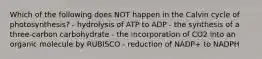 Which of the following does NOT happen in the Calvin cycle of photosynthesis? - hydrolysis of ATP to ADP - the synthesis of a three-carbon carbohydrate - the incorporation of CO2 into an organic molecule by RUBISCO - reduction of NADP+ to NADPH