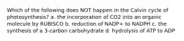 Which of the following does NOT happen in the Calvin cycle of photosynthesis? a. the incorporation of CO2 into an organic molecule by RUBISCO b. reduction of NADP+ to NADPH c. the synthesis of a 3-carbon carbohydrate d. hydrolysis of ATP to ADP