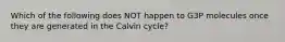 Which of the following does NOT happen to G3P molecules once they are generated in the Calvin cycle?