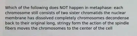 Which of the following does NOT happen in metaphase: each chromosome still consists of two sister chromatids the nuclear membrane has dissolved completely chromosomes decondense back to their original long, stringy form the action of the spindle fibers moves the chromosomes to the center of the cell