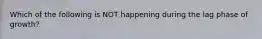 Which of the following is NOT happening during the lag phase of growth?