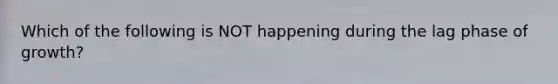 Which of the following is NOT happening during the lag phase of growth?