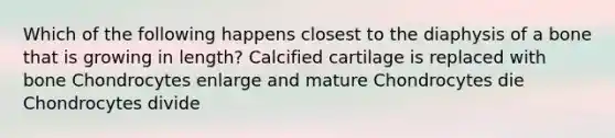 Which of the following happens closest to the diaphysis of a bone that is growing in length? Calcified cartilage is replaced with bone Chondrocytes enlarge and mature Chondrocytes die Chondrocytes divide