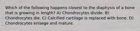 Which of the following happens closest to the diaphysis of a bone that is growing in length? A) Chondrocytes divide. B) Chondrocytes die. C) Calcified cartilage is replaced with bone. D) Chondrocytes enlarge and mature.