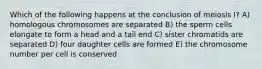 Which of the following happens at the conclusion of meiosis I? A) homologous chromosomes are separated B) the sperm cells elongate to form a head and a tail end C) sister chromatids are separated D) four daughter cells are formed E) the chromosome number per cell is conserved