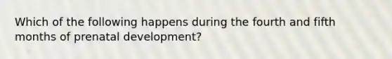 Which of the following happens during the fourth and fifth months of prenatal development?