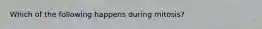 ​Which of the following happens during mitosis?