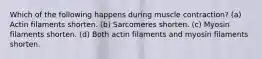 Which of the following happens during muscle contraction? (a) Actin filaments shorten. (b) Sarcomeres shorten. (c) Myosin filaments shorten. (d) Both actin filaments and myosin filaments shorten.