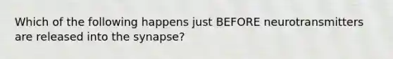 Which of the following happens just BEFORE neurotransmitters are released into the synapse?