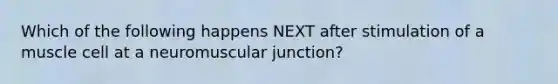 Which of the following happens NEXT after stimulation of a muscle cell at a neuromuscular junction?