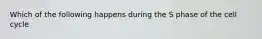 Which of the following happens during the S phase of the cell cycle