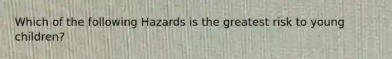Which of the following Hazards is the greatest risk to young children?