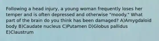 Following a head injury, a young woman frequently loses her temper and is often depressed and otherwise "moody." What part of the brain do you think has been damaged? A)Amygdaloid body B)Caudate nucleus C)Putamen D)Globus pallidus E)Claustrum