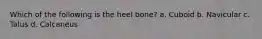 Which of the following is the heel bone? a. Cuboid b. Navicular c. Talus d. Calcaneus