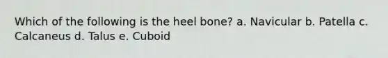 Which of the following is the heel bone? a. Navicular b. Patella c. Calcaneus d. Talus e. Cuboid