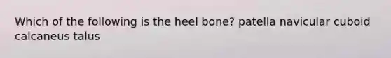 Which of the following is the heel bone? patella navicular cuboid calcaneus talus