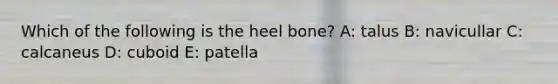 Which of the following is the heel bone? A: talus B: navicullar C: calcaneus D: cuboid E: patella