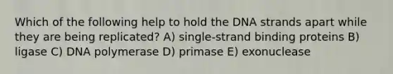 Which of the following help to hold the DNA strands apart while they are being replicated? A) single-strand binding proteins B) ligase C) DNA polymerase D) primase E) exonuclease