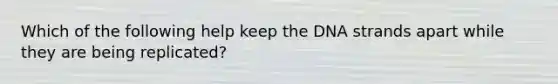 Which of the following help keep the DNA strands apart while they are being replicated?