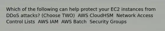 Which of the following can help protect your EC2 instances from DDoS attacks? (Choose TWO) ​ AWS CloudHSM ​ Network Access Control Lists ​ AWS IAM ​ AWS Batch ​ Security Groups