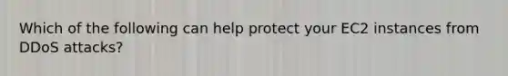 Which of the following can help protect your EC2 instances from DDoS attacks?