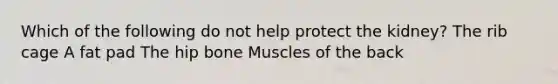 Which of the following do not help protect the kidney? The rib cage A fat pad The hip bone Muscles of the back