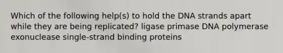 Which of the following help(s) to hold the DNA strands apart while they are being replicated? ligase primase DNA polymerase exonuclease single-strand binding proteins