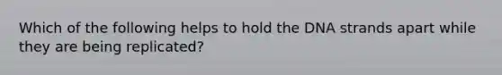 Which of the following helps to hold the DNA strands apart while they are being replicated?