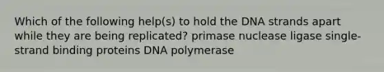 Which of the following help(s) to hold the DNA strands apart while they are being replicated? primase nuclease ligase single-strand binding proteins DNA polymerase