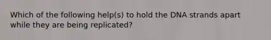 Which of the following help(s) to hold the DNA strands apart while they are being replicated?