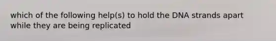 which of the following help(s) to hold the DNA strands apart while they are being replicated