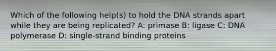 Which of the following help(s) to hold the DNA strands apart while they are being replicated? A: primase B: ligase C: DNA polymerase D: single-strand binding proteins