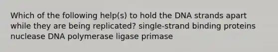 Which of the following help(s) to hold the DNA strands apart while they are being replicated? single-strand binding proteins nuclease DNA polymerase ligase primase