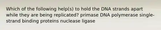 Which of the following help(s) to hold the DNA strands apart while they are being replicated? primase DNA polymerase single-strand binding proteins nuclease ligase