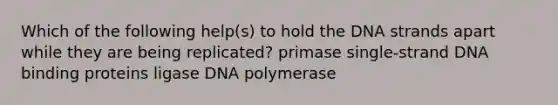 Which of the following help(s) to hold the DNA strands apart while they are being replicated? primase single-strand DNA binding proteins ligase DNA polymerase