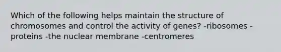 Which of the following helps maintain the structure of chromosomes and control the activity of genes? -ribosomes -proteins -the nuclear membrane -centromeres