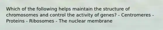 Which of the following helps maintain the structure of chromosomes and control the activity of genes? - Centromeres - Proteins - Ribosomes - The nuclear membrane