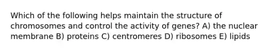 Which of the following helps maintain the structure of chromosomes and control the activity of genes? A) the nuclear membrane B) proteins C) centromeres D) ribosomes E) lipids