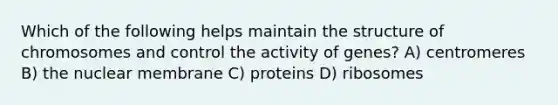 Which of the following helps maintain the structure of chromosomes and control the activity of genes? A) centromeres B) the nuclear membrane C) proteins D) ribosomes