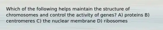 Which of the following helps maintain the structure of chromosomes and control the activity of genes? A) proteins B) centromeres C) the nuclear membrane D) ribosomes