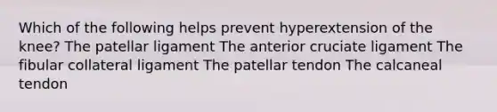 Which of the following helps prevent hyperextension of the knee? The patellar ligament The anterior cruciate ligament The fibular collateral ligament The patellar tendon The calcaneal tendon