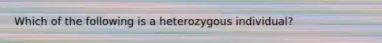 Which of the following is a heterozygous individual?