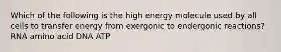 Which of the following is the high energy molecule used by all cells to transfer energy from exergonic to endergonic reactions? RNA amino acid DNA ATP