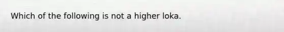 Which of the following is not a higher loka.