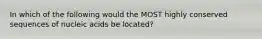 In which of the following would the MOST highly conserved sequences of nucleic acids be located?
